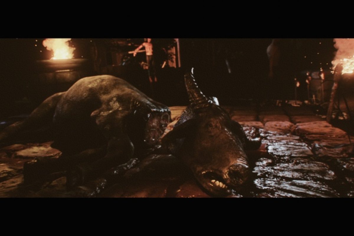 Apocalypse Now Game – Ritual
